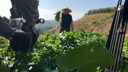 晋安区鹅鼻村 家门口的科普阵地培育现代新农人